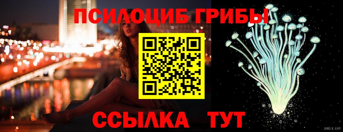 Нарткала  Псилоцибиновые грибы Psilocybe  Галлюциногенные грибы Psilocybe  Вход с VPN 